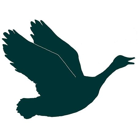 The Honking Goose Inn Amsterdam Esterno foto